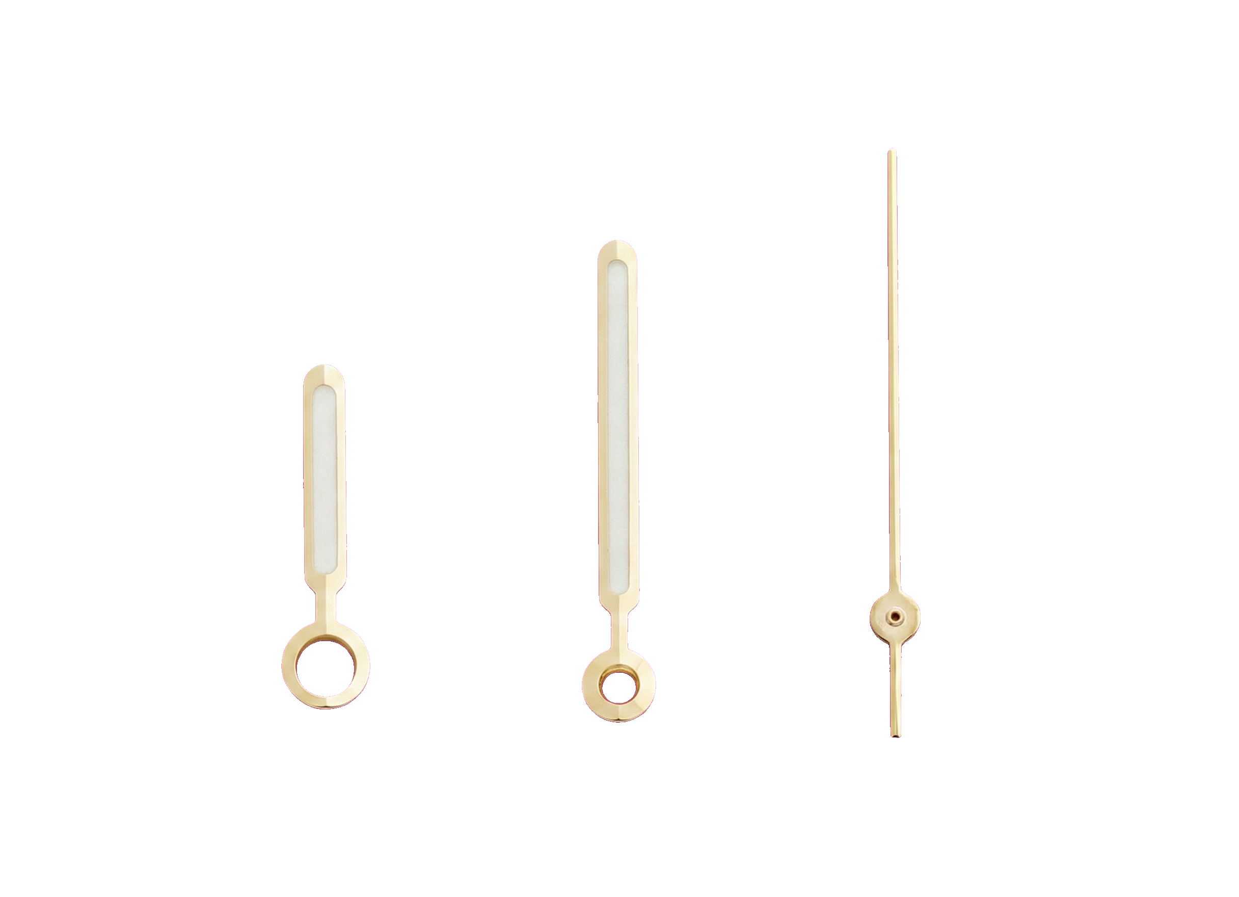 Nautilus Gold Finish